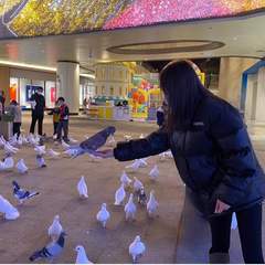 hr頭像