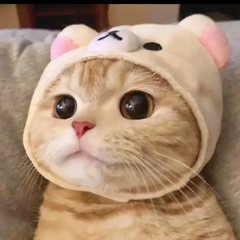 hr頭像