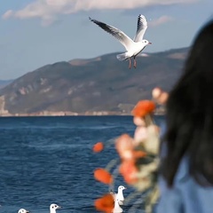 hr頭像