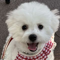 hr頭像