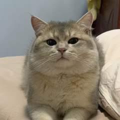 hr頭像