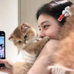 hr頭像