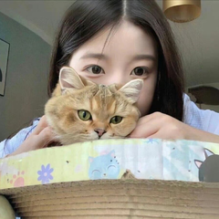 hr頭像