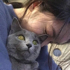 hr頭像