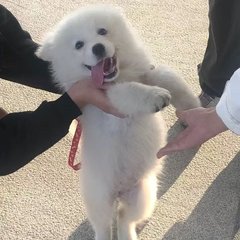 hr頭像