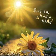 hr頭像