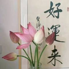 hr頭像