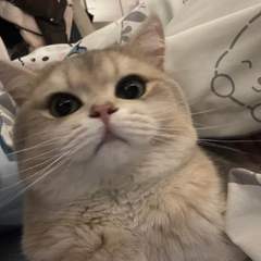 hr頭像