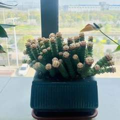 hr頭像