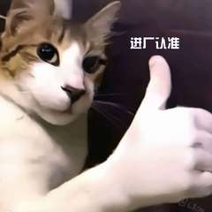 hr頭像