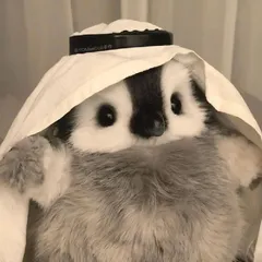 hr頭像