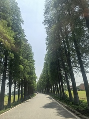 hr頭像