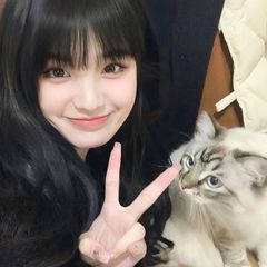 hr頭像