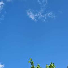 hr頭像