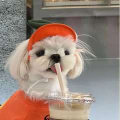 hr頭像