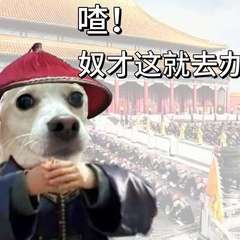 hr頭像