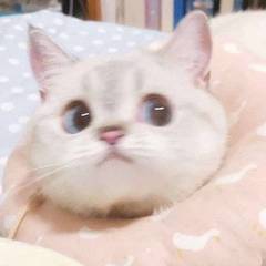 hr頭像