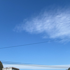 hr頭像