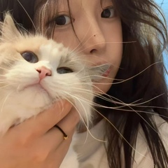 hr头像