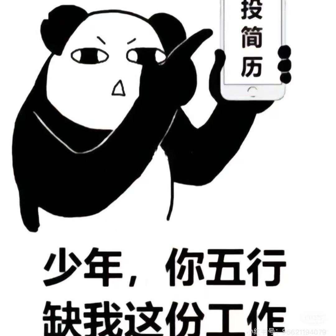 职位发布者头像