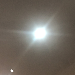 hr頭像
