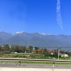 hr頭像