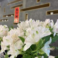hr头像