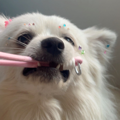 hr头像