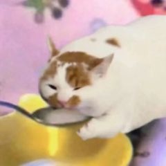 hr頭像