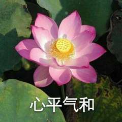 hr頭像
