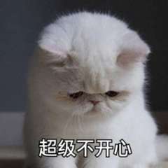 hr頭像