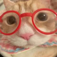 hr頭像