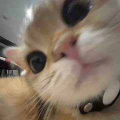 hr頭像