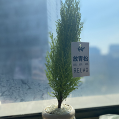 hr頭像