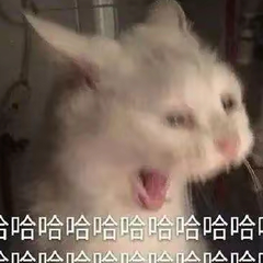 hr頭像