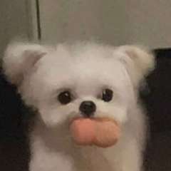 hr頭像