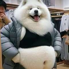 hr頭像