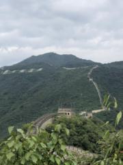 hr頭像