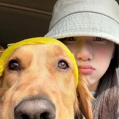 hr頭像