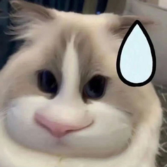 hr頭像