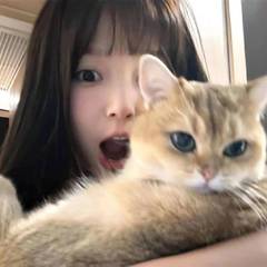 hr頭像