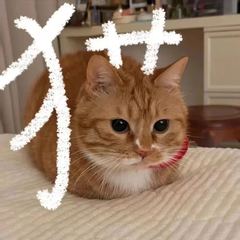 hr頭像