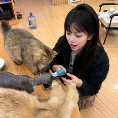 hr頭像