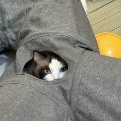 hr頭像