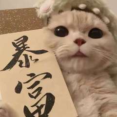 hr頭像