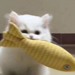 hr頭像