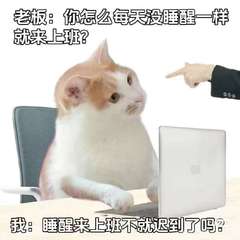 hr頭像