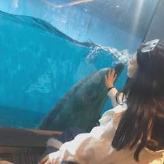 hr頭像