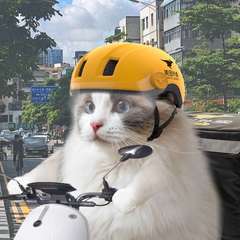 hr頭像