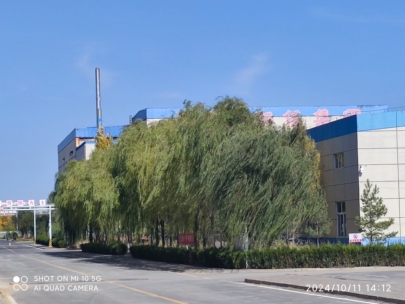 职位发布者头像